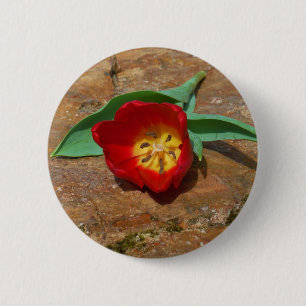 Spring Red Tulip 6 Cm Round Badge