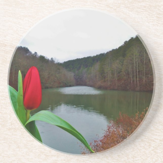 Spring Red Tulip at Lake Arrowhead Coaster (Front)