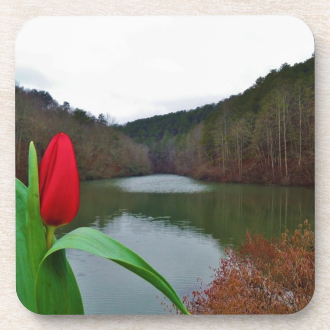 Spring Red Tulip at Lake Arrowhead Coaster (Front)