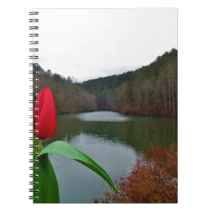 Spring Red Tulip at Lake Arrowhead Notebook