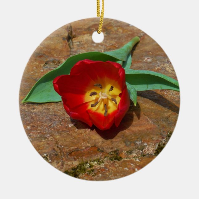 Spring Red Tulip Ceramic Tree Decoration (Front)