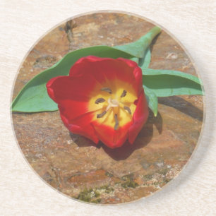 Spring Red Tulip Coaster