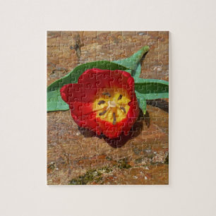 Spring Red Tulip Jigsaw Puzzle