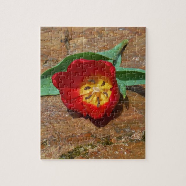 Spring Red Tulip Jigsaw Puzzle (Vertical)