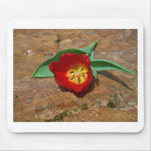 Spring Red Tulip Mouse Mat