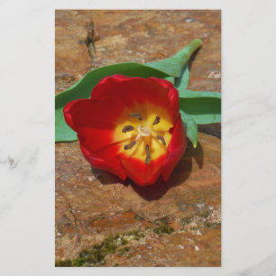Spring Red Tulip Stationery