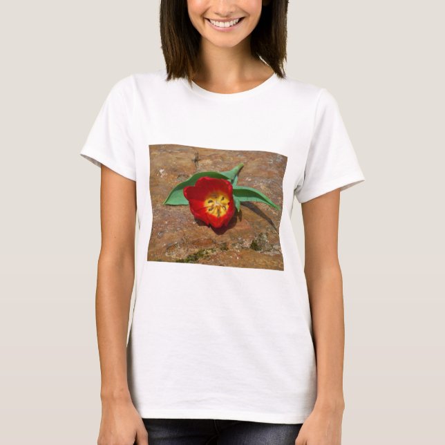 Spring Red Tulip T-Shirt (Front)