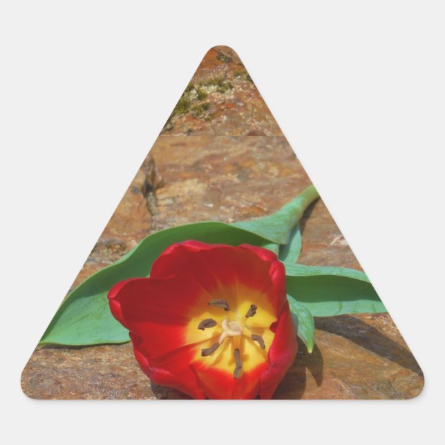 Spring Red Tulip Triangle Sticker (Front)