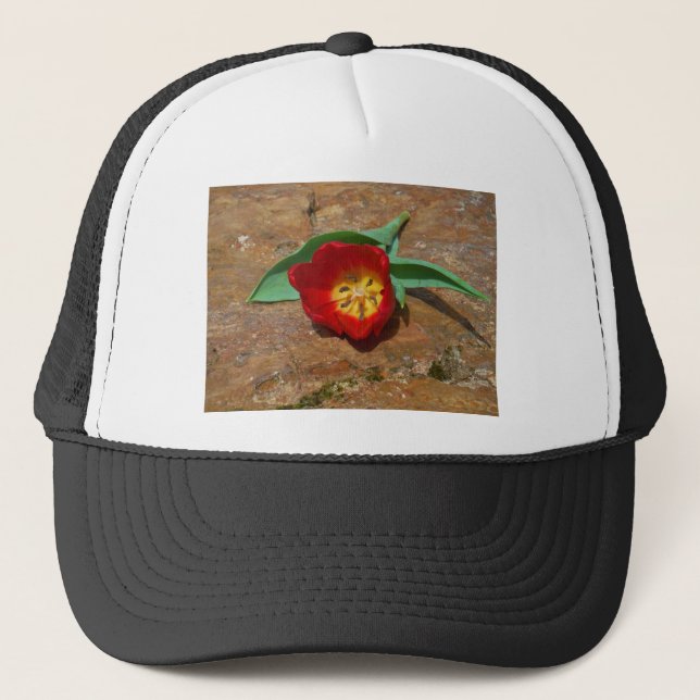 Spring Red Tulip Trucker Hat (Front)