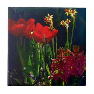 Spring Red Tulips Tile
