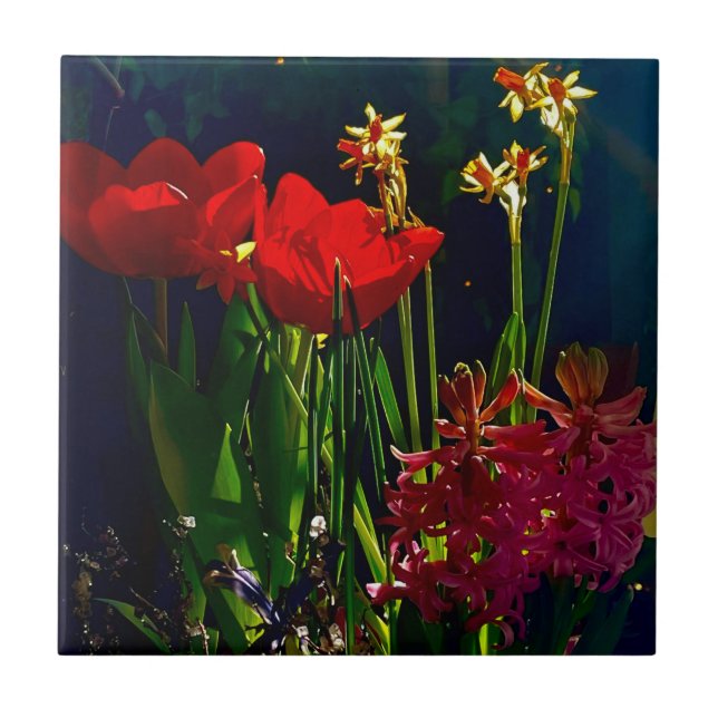 Spring Red Tulips Tile (Front)