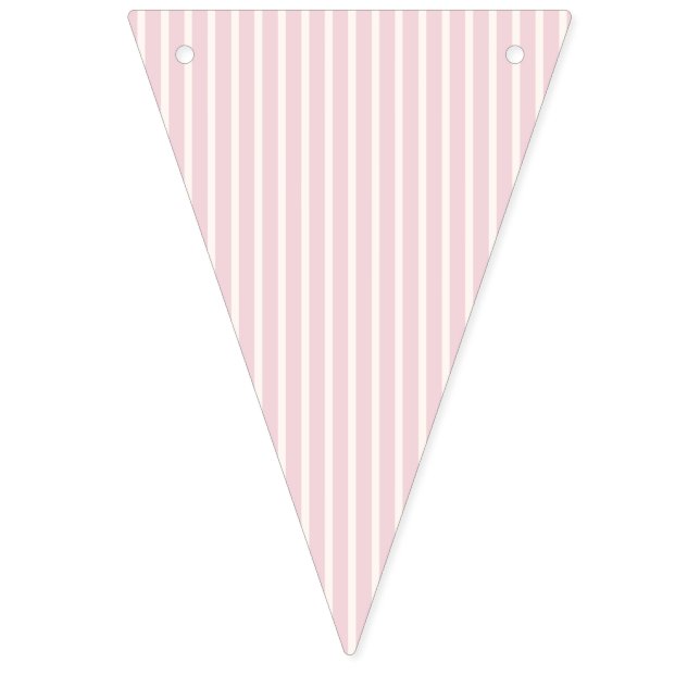 Spring Refined Stripes | Soft Blush  Bunting (First Flag)