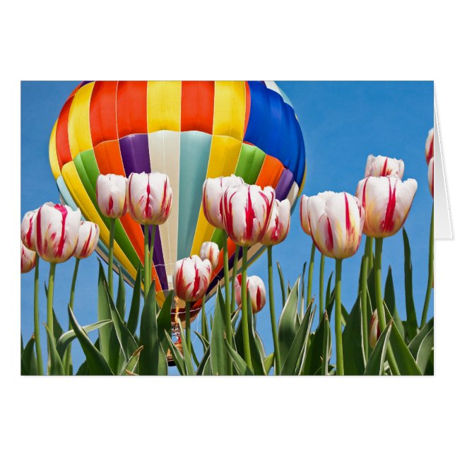 Spring Ride (Front Horizontal)