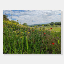 Spring riverside photography