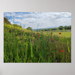 Spring riverside photography poster