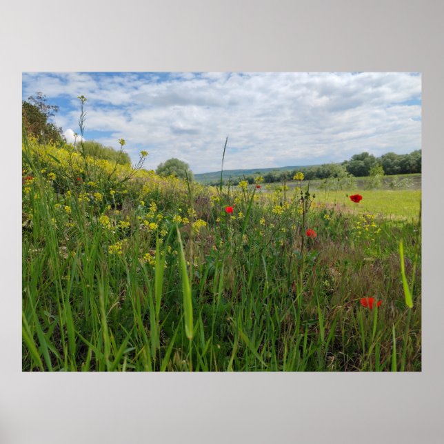 Spring riverside photography poster (Front)