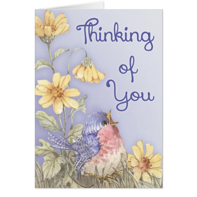 Spring Robin (Front)