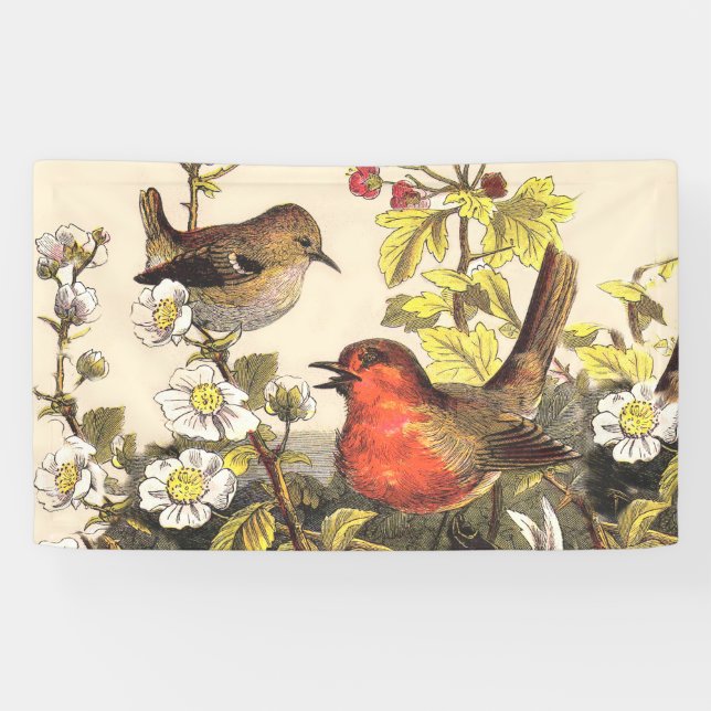 Spring Robin Birds Red Birding Banner (Horizontal)
