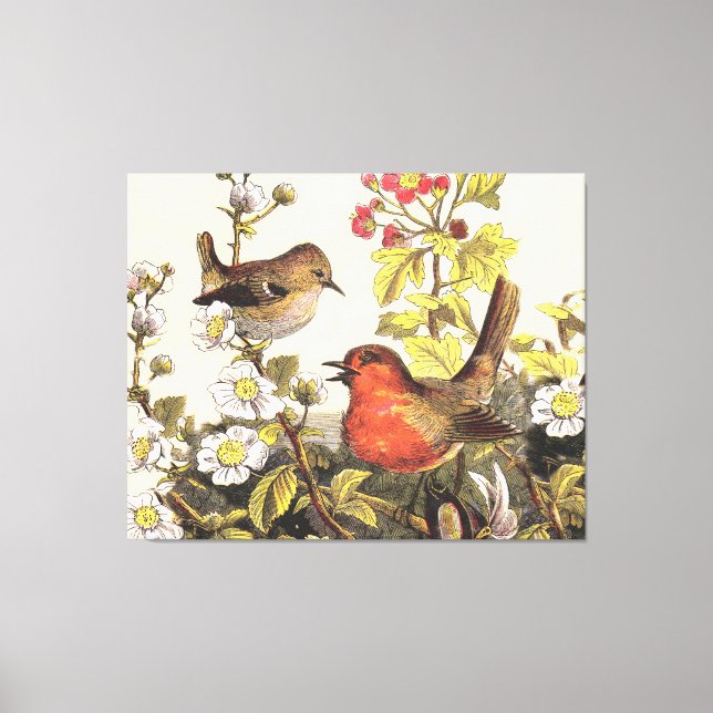 Spring Robin Birds Red Birding Canvas Print (Front)