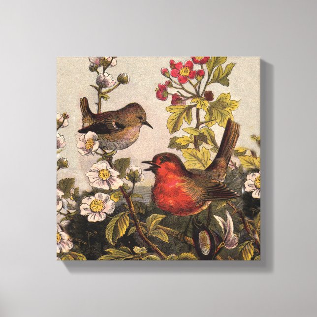 Spring Robin Birds Red Birding Canvas Print (Front)