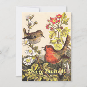 Spring Robin Birds Red Birding Invitation
