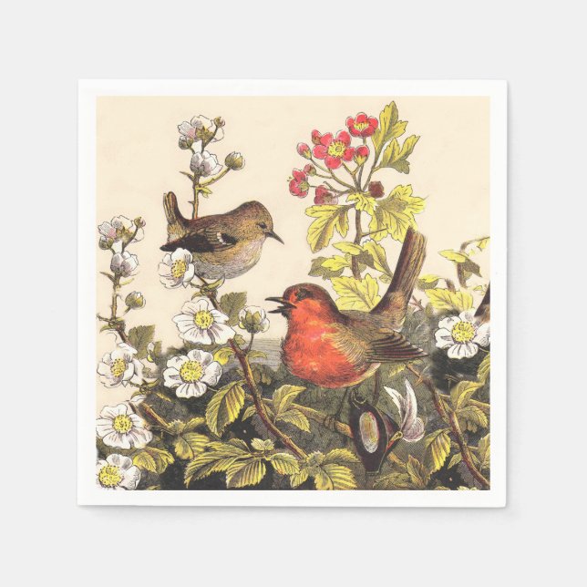 Spring Robin Birds Red Birding Napkin (Front)