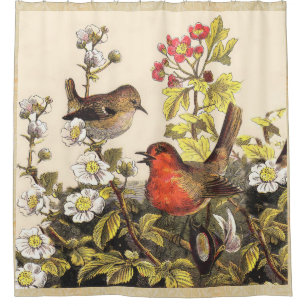 Spring Robin Birds Red Birding Shower Curtain