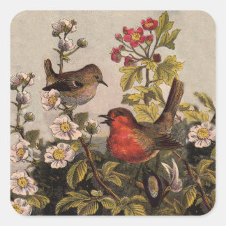 Spring Robin Birds Red Birding Square Sticker