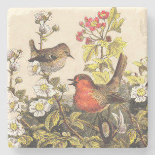 Spring Robin Birds Red Birding Stone Coaster