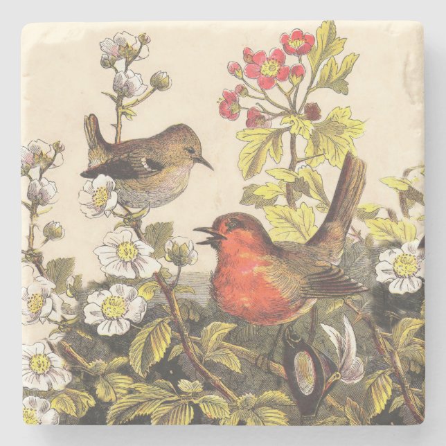 Spring Robin Birds Red Birding Stone Coaster (Front)