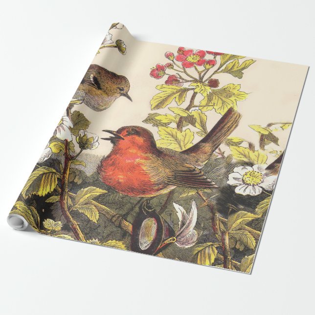 Spring Robin Birds Red Birding Wrapping Paper (Unrolled)