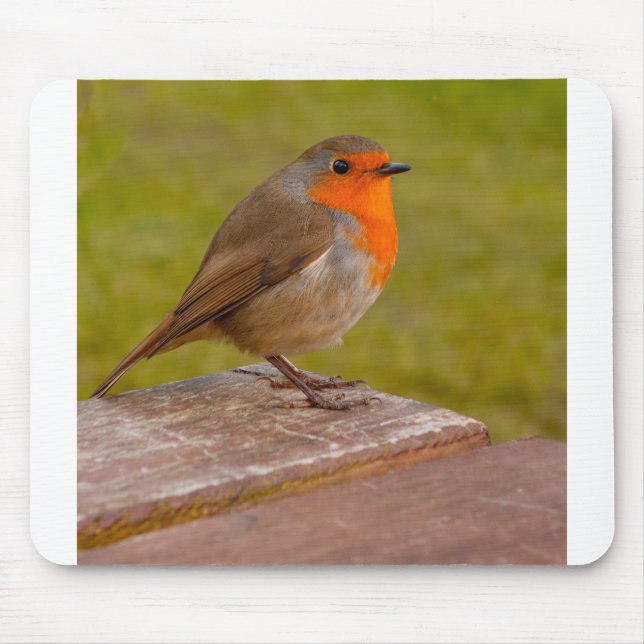 Spring Robin Mouse Mat (Front)
