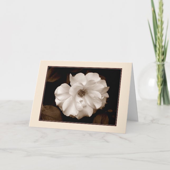 'Spring Rose (Sepia)' Greeting Card (Front)