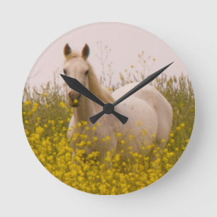 Spring Round Clock