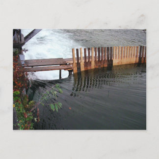 Spring Runoff Postcard