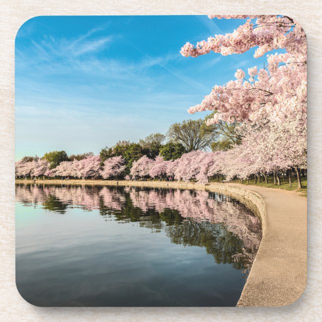 Spring Scene Coaster (Front)