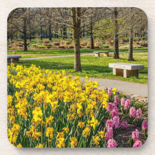 Spring Season Flower Garden Coaster