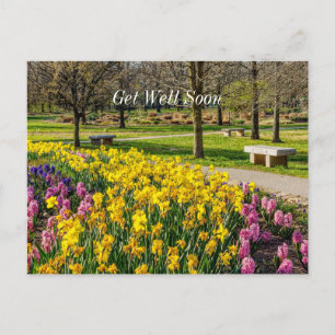 Spring Season Flower Garden Get Well Soon Postcard