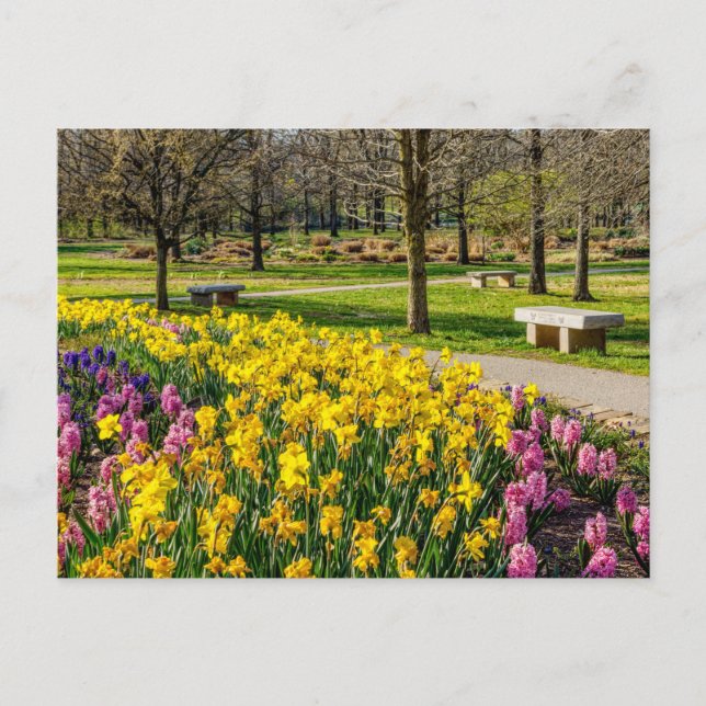 Spring Season Flower Garden Postcard (Front)