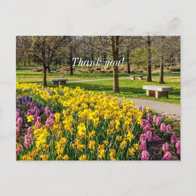 Spring Season Flower Garden Thank You Postcard (Front)