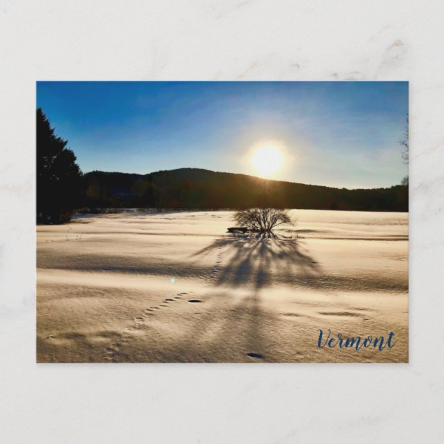 Spring Seems a Long Way Off Postcard (Front)