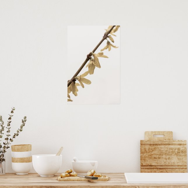 Spring Showers on Forsythia Flowers Poster (Kitchen)