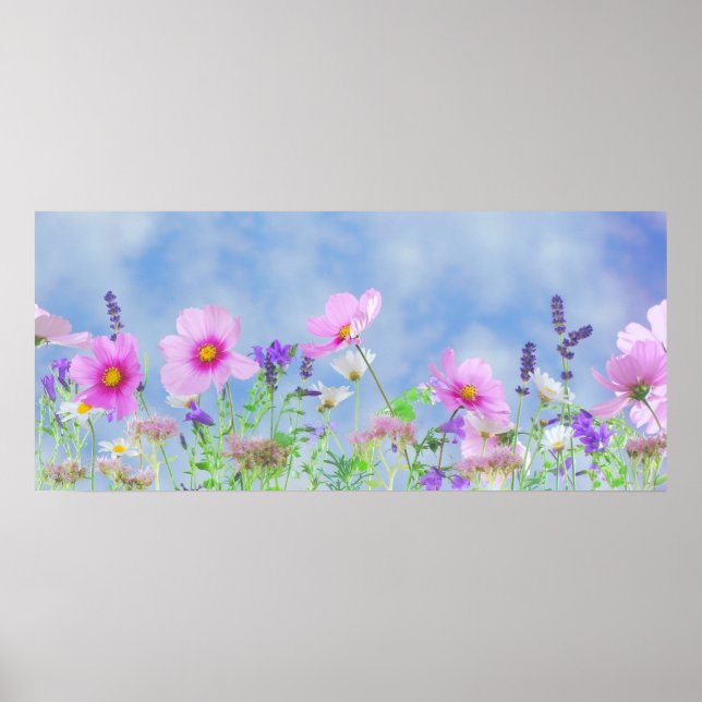 Spring Sky Poster (Front)