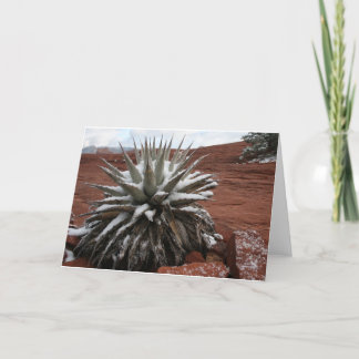 Spring Snow in Sedona Card