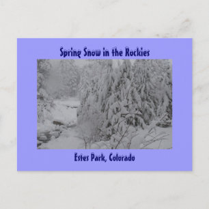 Spring Snow in the Rockies Postcard