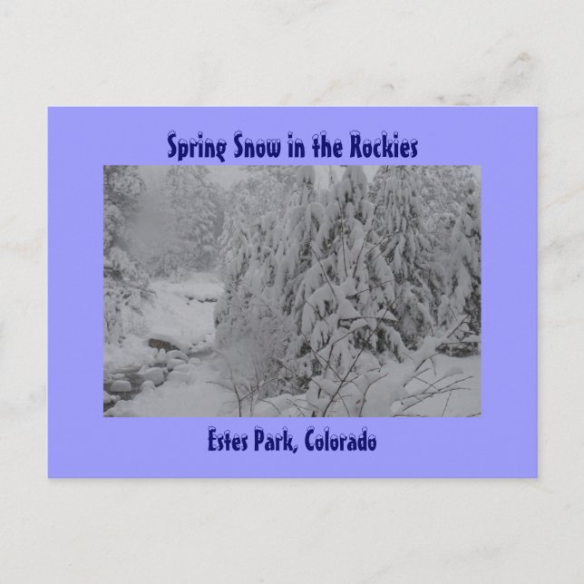 Spring Snow in the Rockies Postcard (Front)