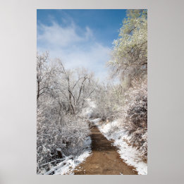 Spring Snow Nature Poster