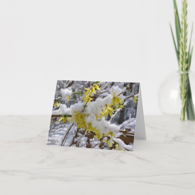 Spring Snow Notecard (Front)