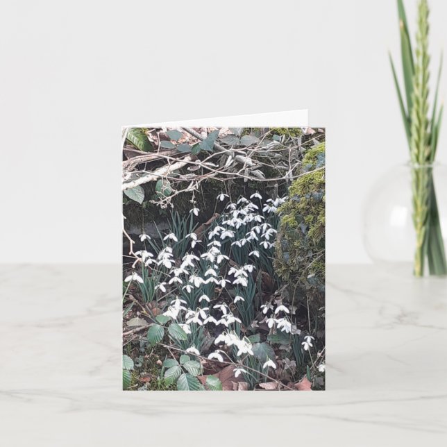 Spring Snowdrops Card (Front)