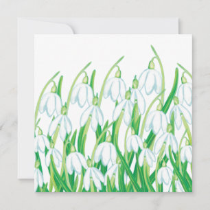 Spring Snowdrops  Card